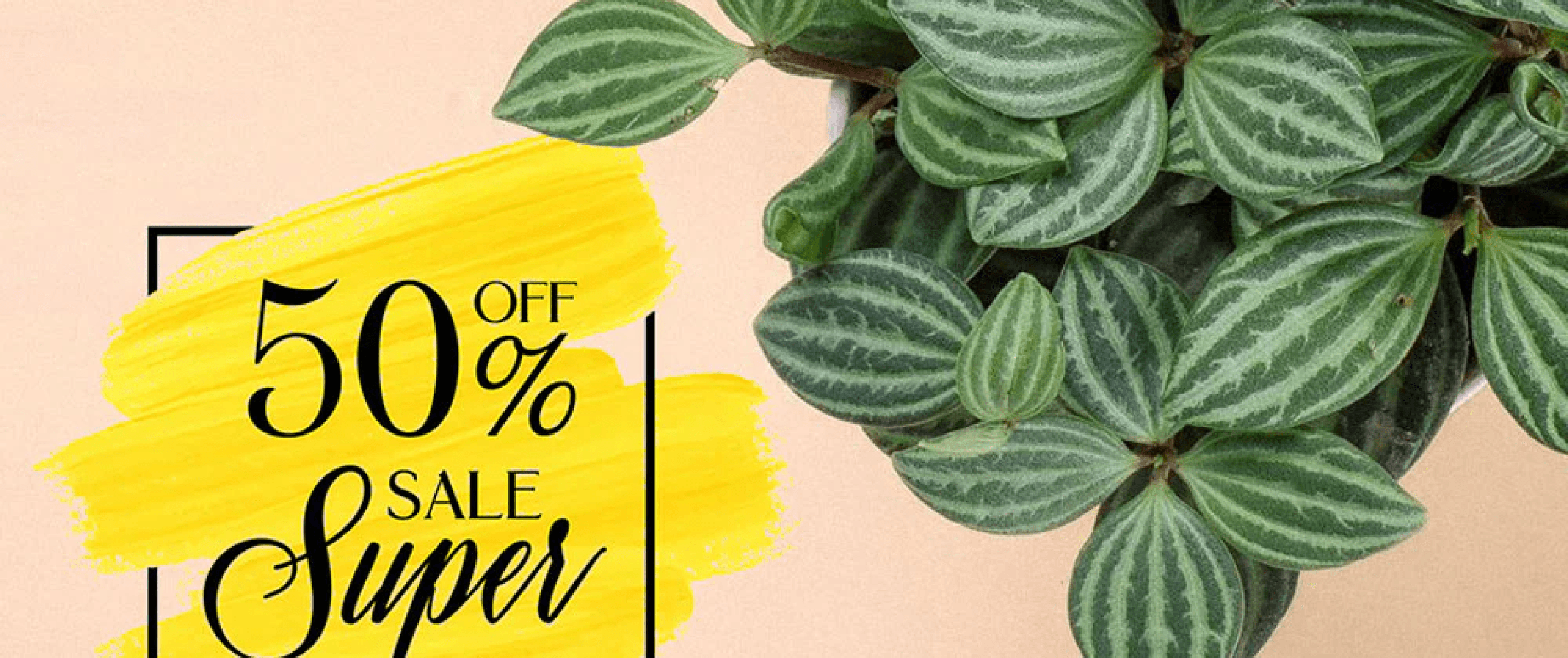 sale-banner